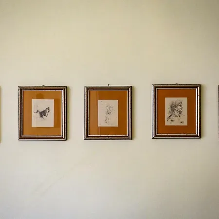 D'annunzio Family House |sitcase Apartmán *